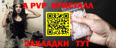 спиды Кингисепп