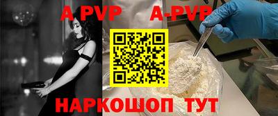 спиды Кингисепп
