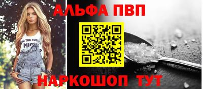 спиды Кингисепп