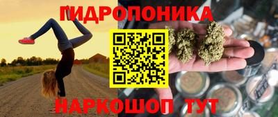 спиды Кингисепп