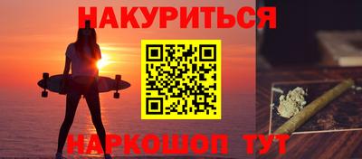 спиды Кингисепп