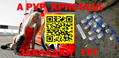 спиды Кингисепп