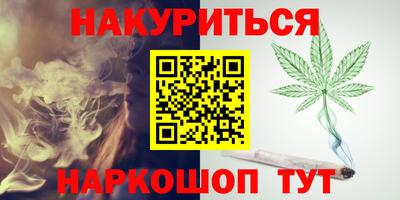 спиды Кингисепп